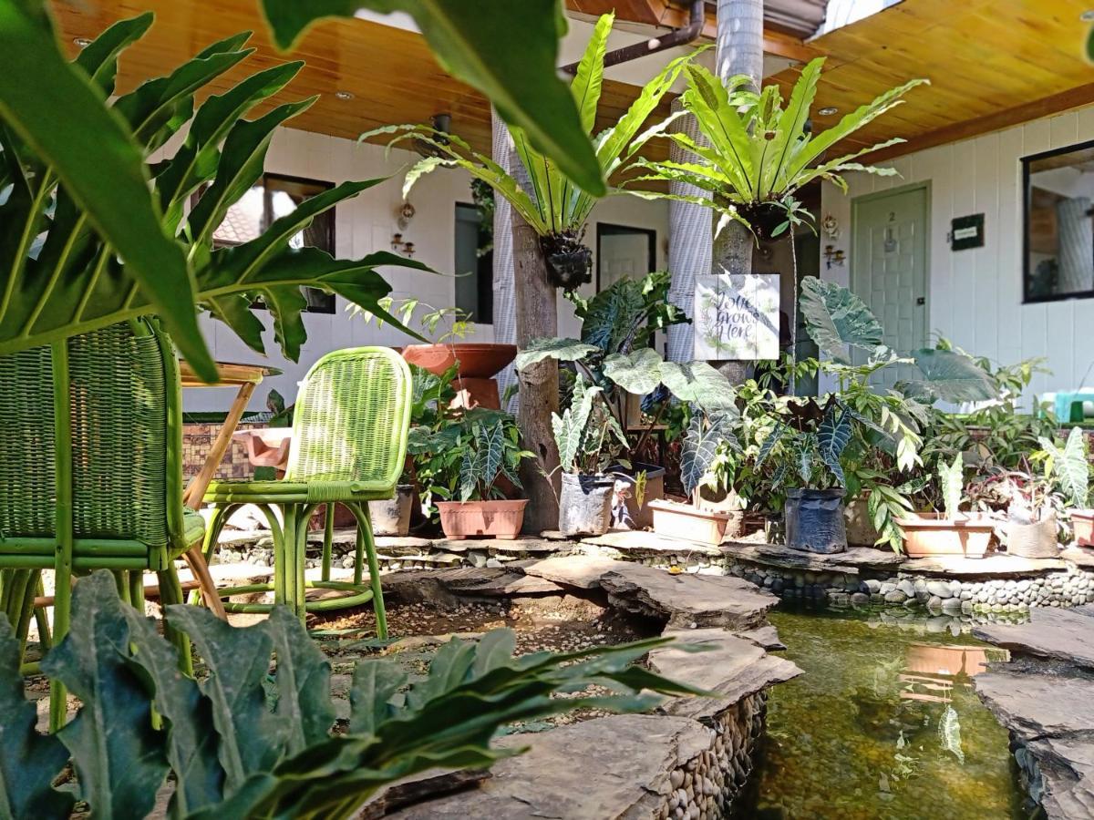 Infinite Green Pension Puerto Princesa Exterior foto